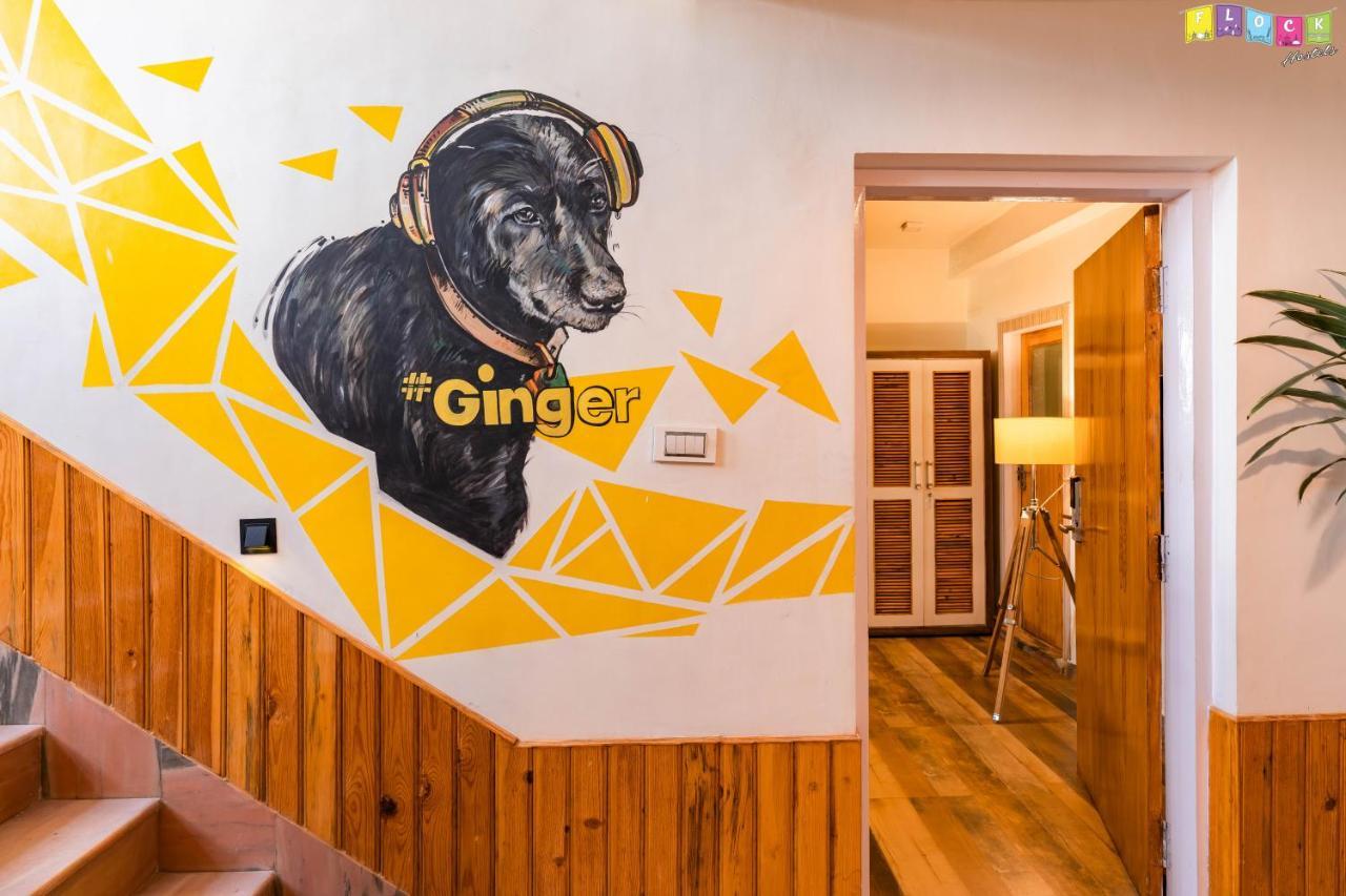 Flock Kathmandu Hostel Exterior photo